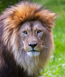 Similar image 10934555