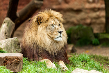 Similar image 10934558