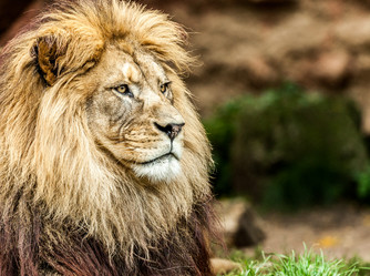 Similar image 10934561