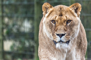 Similar image 10934562