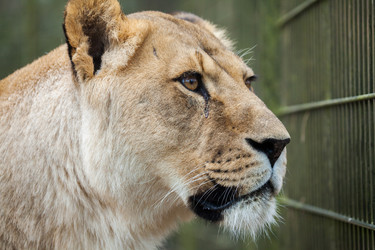 Similar image 10934563