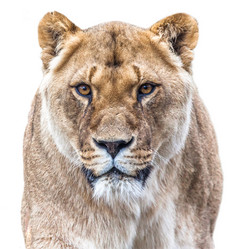 Similar image 10934564