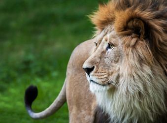 Similar image 10934567