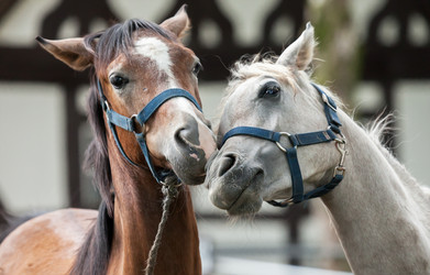 Similar image 10934568