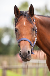 Similar image 10934569