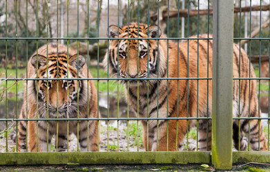 Similar image 10934572