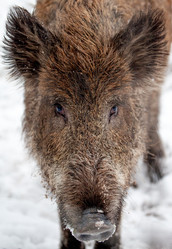 Similar image 10934573