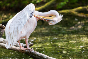 Similar image 10934574