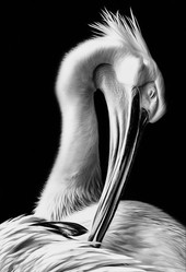 Similar image 10934575