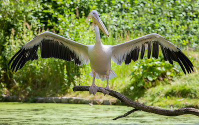 Similar image 10934577