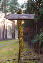 Similar image 10934597