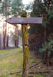 Similar image 10934601