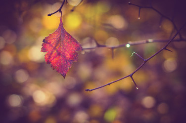 Similar image 10933377