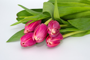 Similar image 10933428