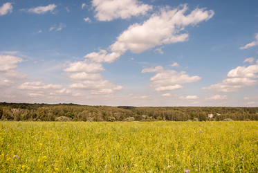 Similar image 10936872