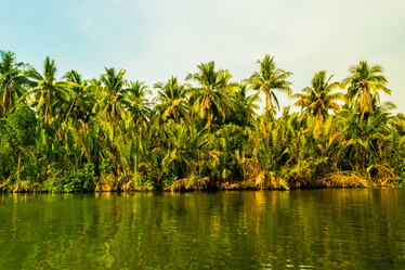 Similar image 10936926