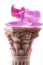 Similar image 10936948