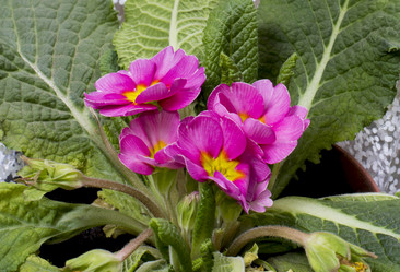 Similar image 10933454