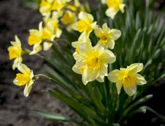 Similar image 10933456