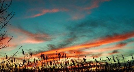 Similar image 10933667