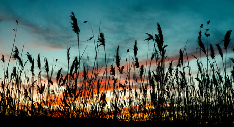 Similar image 10933668