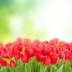 Similar image 10937070