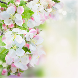 Similar image 10937073