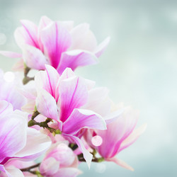 Similar image 10937075