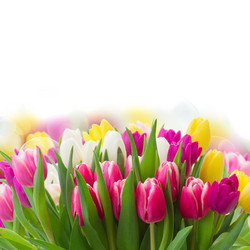 Similar image 10937087