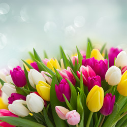 Similar image 10937088