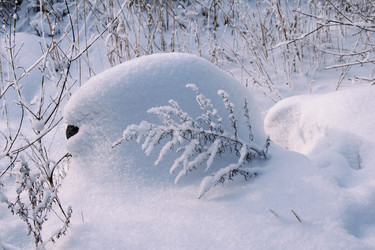 Similar image 10933402