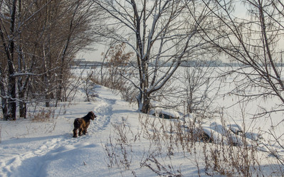 Similar image 10933405