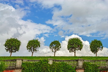 Similar image 10935512