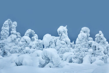 Similar image 10933387