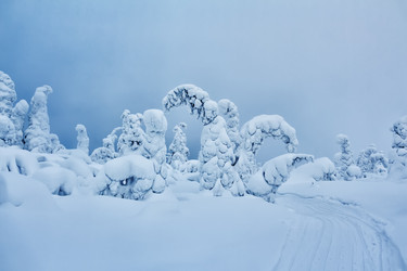 Similar image 10933388