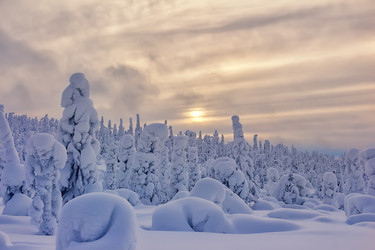 Similar image 10933408