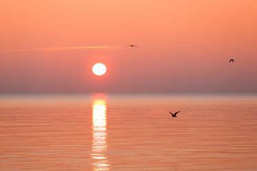 Similar image 10934241