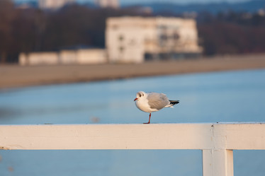 Similar image 10934246