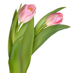 Similar image 10950207