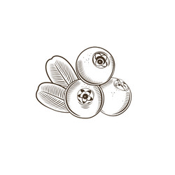 Similar image 10936619