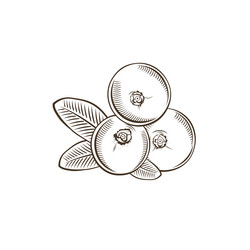 Similar image 10936621