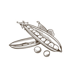 Similar image 10936629