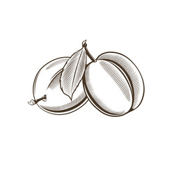 Similar image 10936654