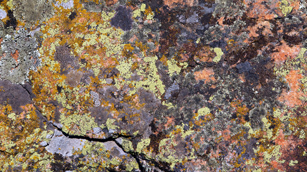 Similar image 10934129