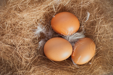 Similar image 10943925