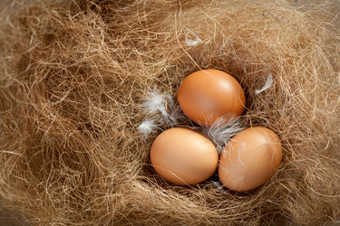 Similar image 10943926