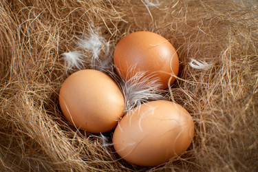 Similar image 10943927