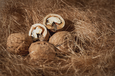 Similar image 10943930