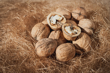 Similar image 10943931