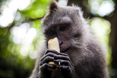 Similar image 10948147